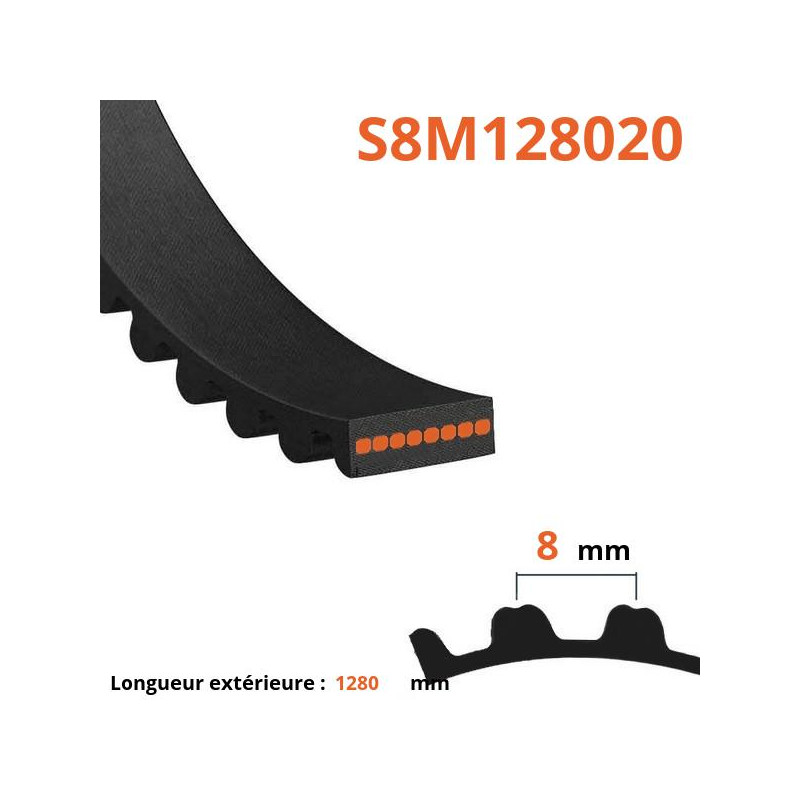 Courroie plate simple dentée S8M128020