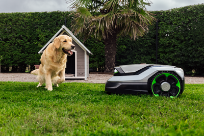 Robot tondeuse Husqvarna 430X Nera