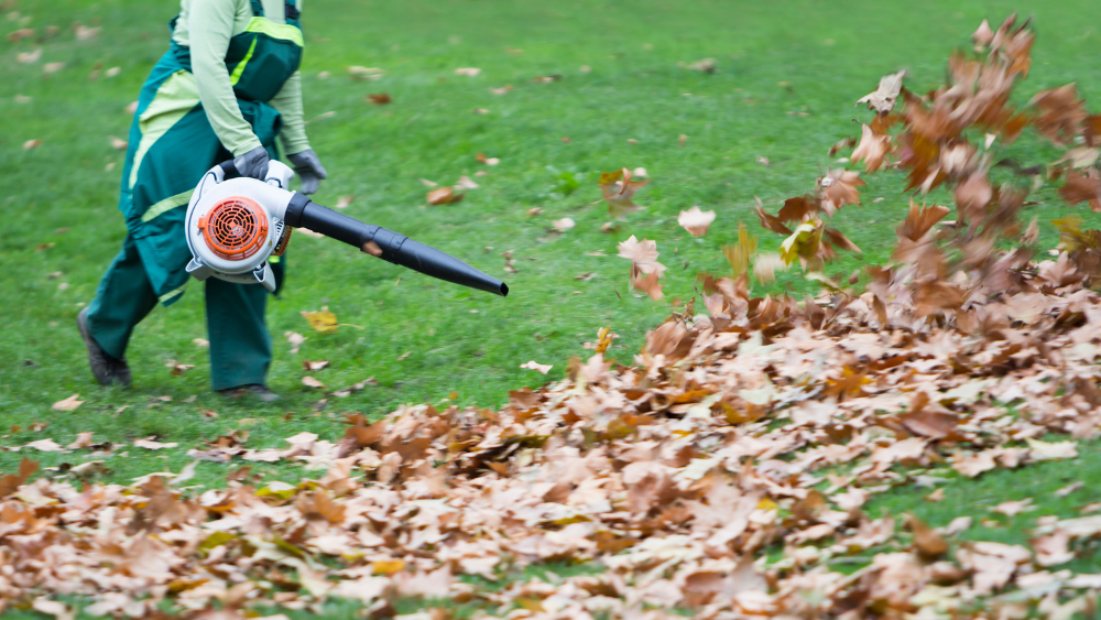 Utilisation du Souffleur de feuilles dans son jardin