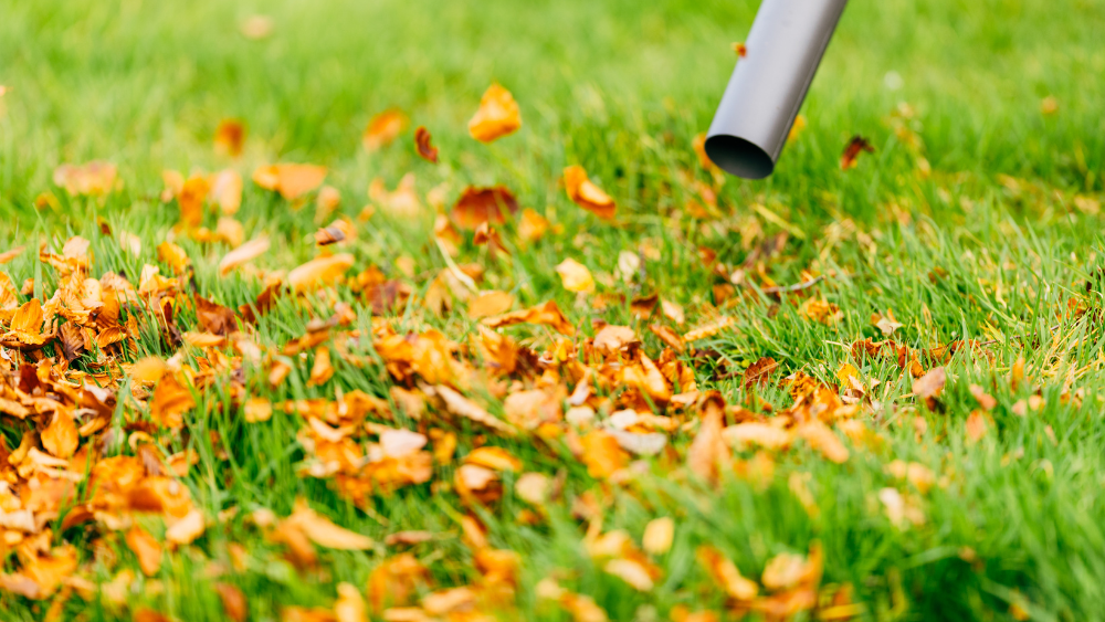 Utilisation du Souffleur de feuilles dans son jardin