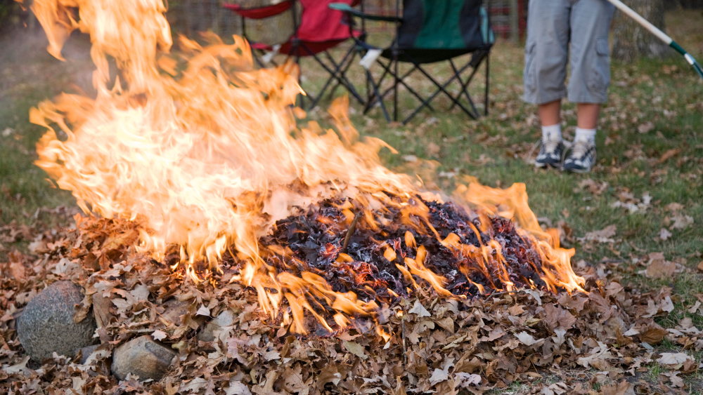 Utilisation du Souffleur de feuilles dans son jardin