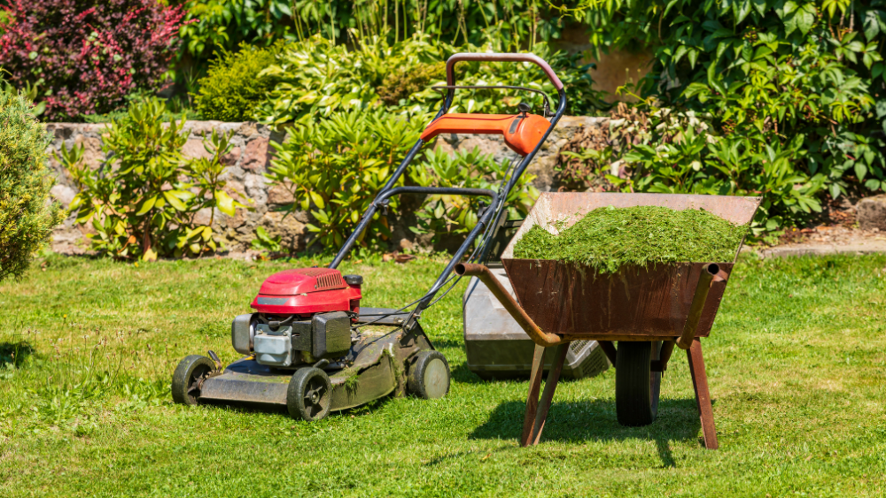 Utilisation du Souffleur de feuilles dans son jardin