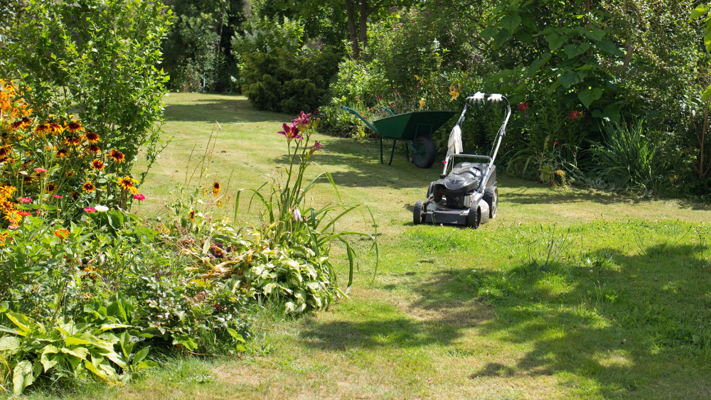Utilisation du Souffleur de feuilles dans son jardin