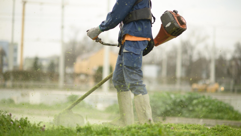 Image Quelle débroussailleuse thermique acheter?